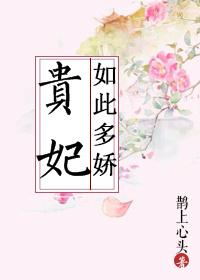 少年阿宾最新章节全文阅读