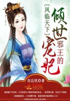 机战皇