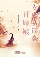 灵笼荷光者被尘民做多人运动
