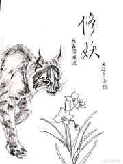 喵喵全球超级搜索引擎