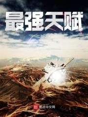 风流寡妇小说免费全文