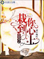 重生之夏泽