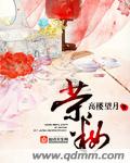 都市风流邪少小说未删减完整版