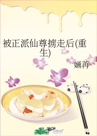 夜麟小说