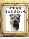 小鸡不好惹之咸蛋寺