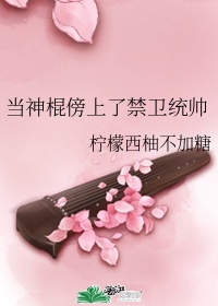 狂轮花木兰小说