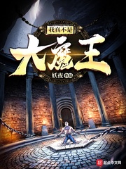 与敌同行电视剧