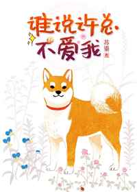 双人交谊舞慢三步