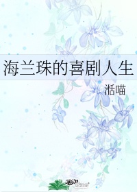 空姐系列