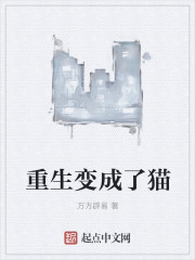体育生奴