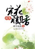 勇敢的心电视剧全集76集免费观看