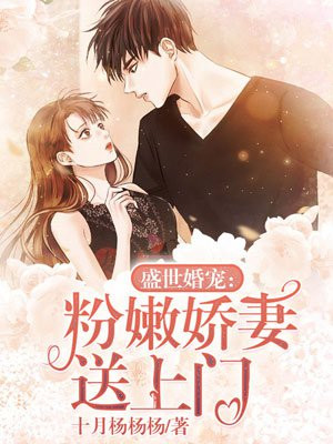 妻子的韩剧4中字