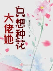 平步青云梦入洪荒