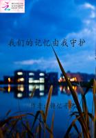 popo小说