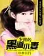 小四郎在线资源