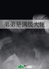荷包网文