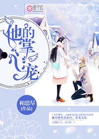 速度与激清9