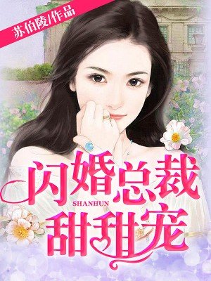 罪城小说林岚文
