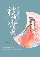 公交韵云和小健的小说