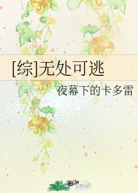 内衣秀视频