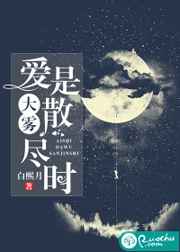 小茗看看网站