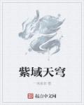 国产aⅴ片