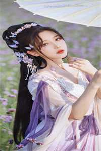 白色橄榄树电视剧完整版免费观看