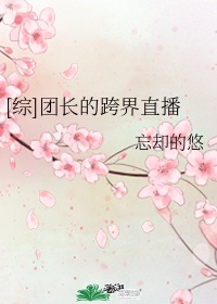 红楼梦01艳史