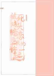 芭乐app引导网站进入