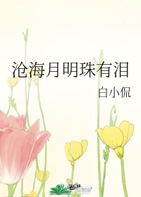 零之使魔3