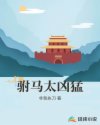 神马影视午夜