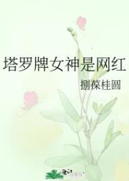 锦心似玉电视剧免费看西瓜视频