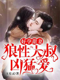 办公室风雨小说阅读