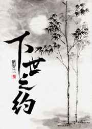 双妻艳史未删减