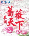 电视剧楚汉传奇完整版