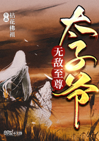 午夜蝴蝶电视剧免费观看