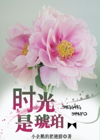 免费看又黄又爽又猛的视频软件-