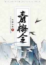 王总来我家老公不在