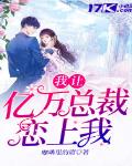 穆景天和夏紫曦免费阅读