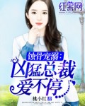 513热点网第127期