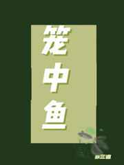 Y1111111手机在线观看