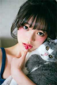 艳福猎艳都市后宫