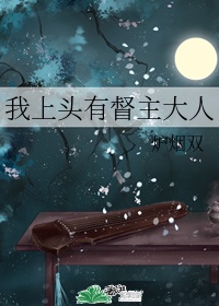 文泰2024