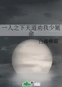 豆角台剧网在线看