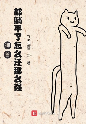 天医圣手叶不凡小说