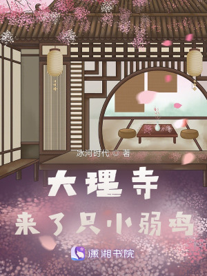 男女日b视频
