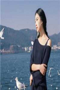 哔哩哔哩免费APP入口