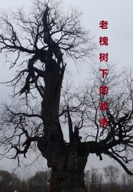 诺门坎战役1939国语高清在线