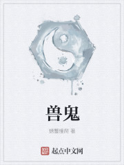 三国志之见龙卸甲