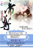 叶凌天黑暗天子
